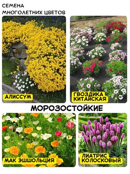 Семена морозостойких цветов многолетников wb27ccczvs