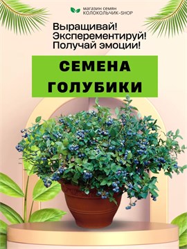 Семена Голубика обыкновенная (Vaccinium myrtillus) 20 штук wbe5k3r4g