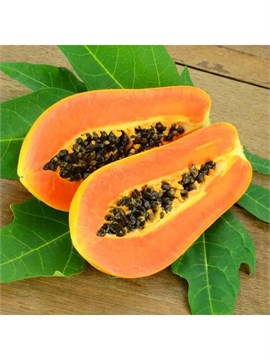 Семена Папайя декоративная (5 штук) semena_papaya